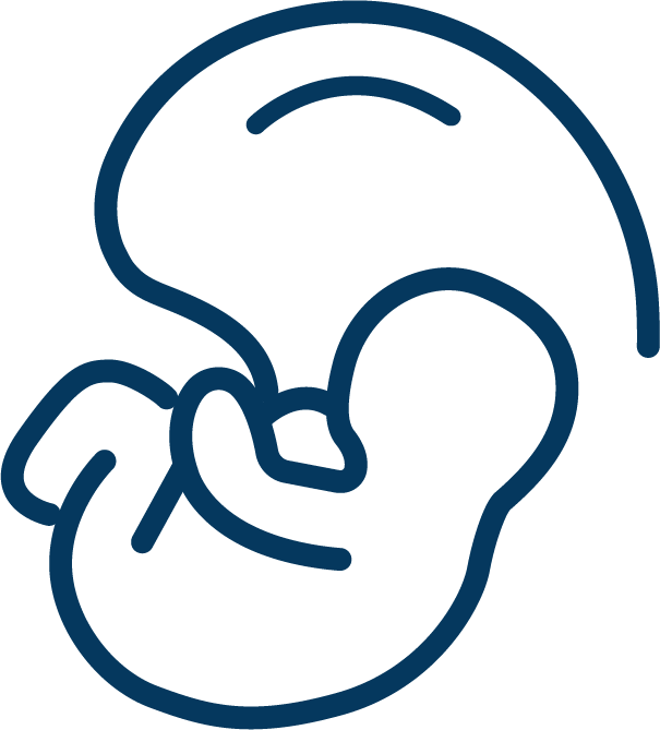 Cálculo automático