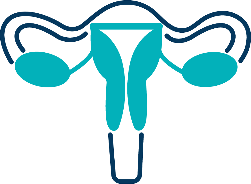 Visualización de imágenes